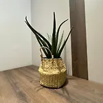Lux Apartment *